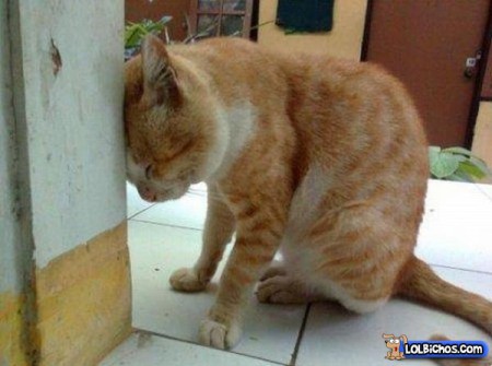 Arrependimento, a base para concerto